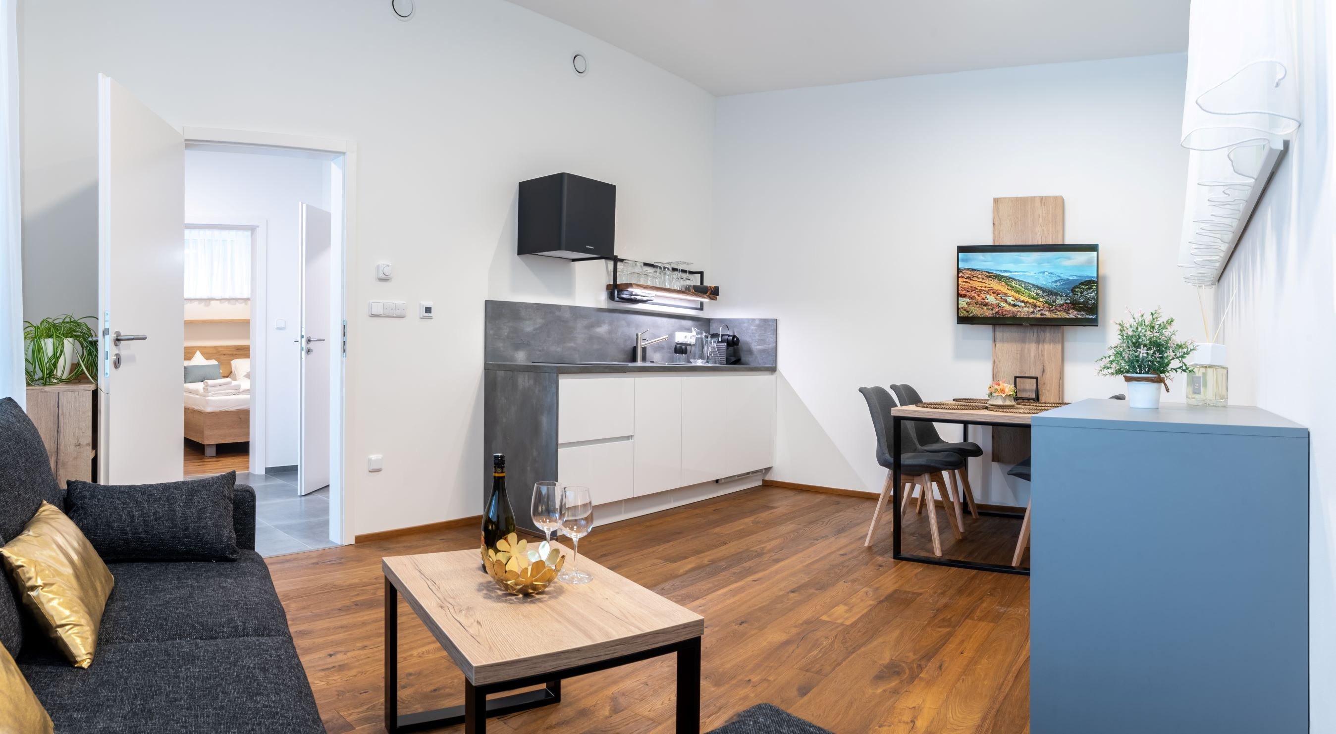 Apartmán v přízemí s 1 ložnicí 1.01